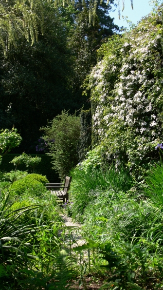 Bois des Moutiers (268) Mai 2012